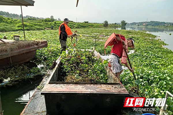 深入一线 聚力“破题” 株洲市水利局扎实开展“走找想促”活动