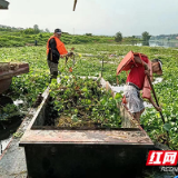 深入一线 聚力“破题” 株洲市水利局扎实开展“走找想促”活动