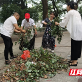 龙泉小学：开展“一月一课一片一实践”活动  让党员教育走心入脑