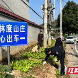 不让绿地变“菜地” 石峰城管开展违规菜地清理整治行动