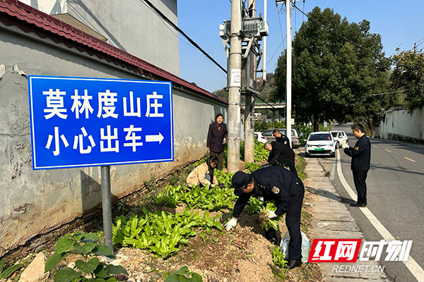 不让绿地变“菜地” 石峰城管开展违规菜地清理整治行动