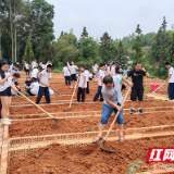 芦淞区龙凤庵中学开展“蔬菜种植”劳动实践教育活动