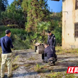 炎陵公安民警用无人机上演科技版“寻羊记”