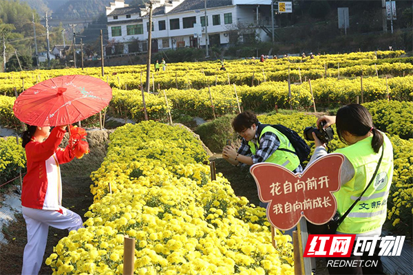 湘潭大学：新闻课堂设在株洲农村的田间地头 文旅助农融入实践教学