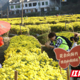 湘潭大学：新闻课堂设在株洲农村的田间地头 文旅助农融入实践教学