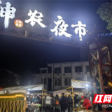 炎陵县：神农夜市点燃县域“烟火气”