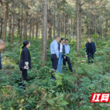 湖南医药集团考察炎陵县中医药产业