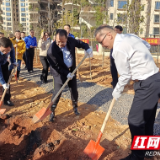 株洲：开展城区义务植树活动 建设绿色宜居幸福之城