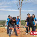 株洲市芦淞区：播种绿色希望 守护绿水青山