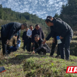 现场观摩研讨 他们为乡村振兴赋能