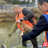 守护大京水库 芦淞区联合开展非法捕捞整治行动