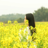 组图丨芦淞区的这片油菜花海，藏不住了