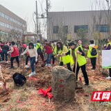 株洲市妇联开展“凝聚巾帼心 共建巾帼林”义务植树活动