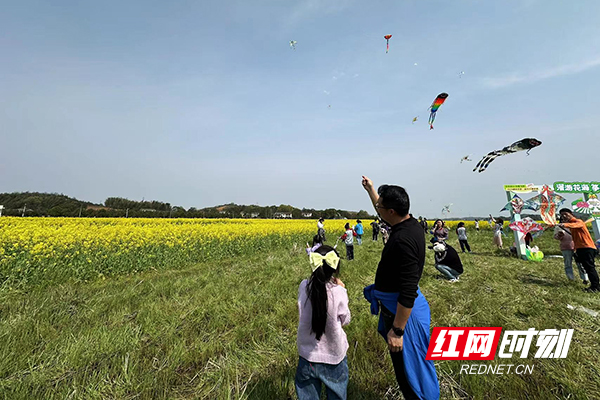 看花又添新去处 株洲市渌口区1800亩油菜花海等你来