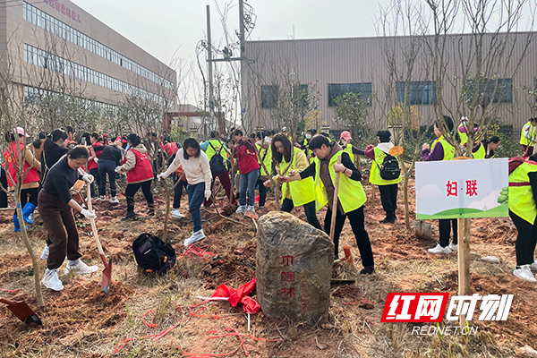 株洲市妇联开展“凝聚巾帼心 共建巾帼林”义务植树活动