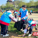 芦淞区河长办：一“芦”有你 青“淞”秀美