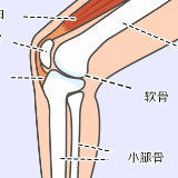 健康科普丨390万株洲人的“续航”里程 这些你得知道