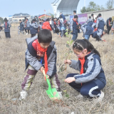 银海学校：“植”此新绿  为绿充“植”