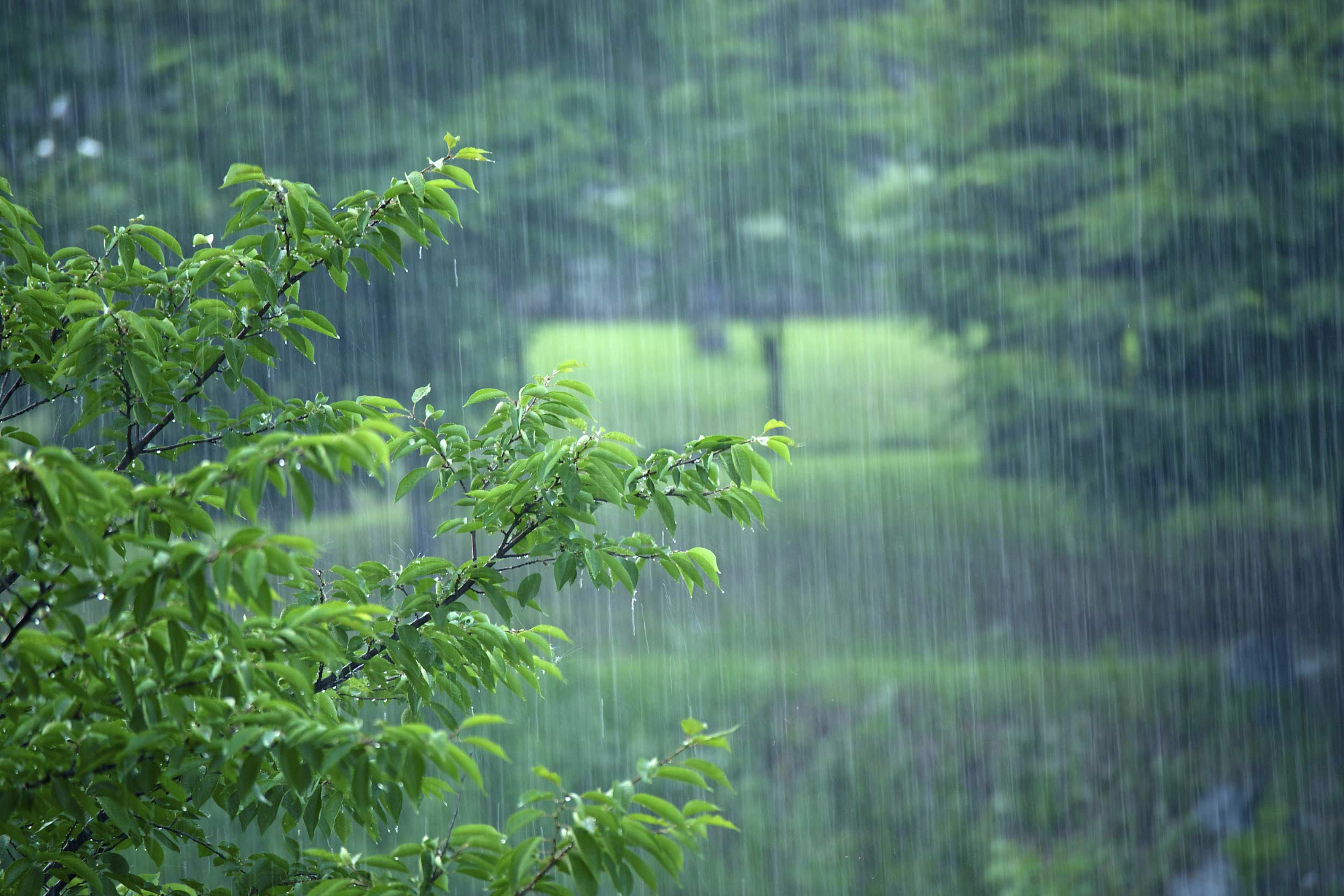 一大波雨水在赶来的路上 清明期间株洲多降雨和强对流天气