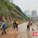 芦淞区开展洪水后清淤净滩活动