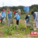 炎陵县开展净滩实践活动