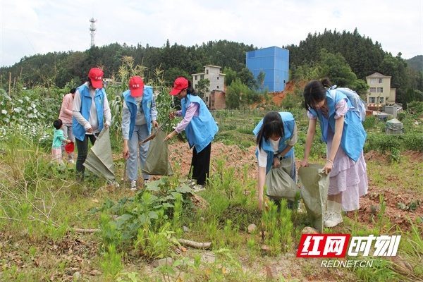 炎陵县开展净滩实践活动