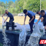 石峰检察：增殖放流  以法治之力守护水清鱼欢