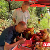 炎陵县霞阳镇：道路安全不放松 护航黄桃销售与旅游旺季