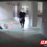 渌口公安22小时破获一起重大入室盗窃案