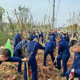 株洲：今年10场义务植树活动！你报名参加了吗？