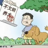 犬只互相撕咬 主人闹上法庭 石峰区法院调解化干戈