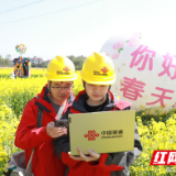 5G添香油菜花节 株洲联通架起助农产品“出山路”