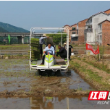 醴陵夯基35万亩早稻种植 全程机械化现场演示