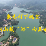 视频丨此处风景独好 全域旅游让醴陵沩山镇“游”向美好生活