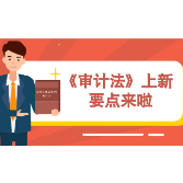 动漫丨《审计法》上新 要点来啦