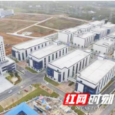 重点报道丨人大代表、政协委员为株洲高质量发展把薪助火