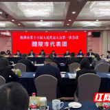 醴陵市代表团审议株洲市人大常委会和“两院”工作报告