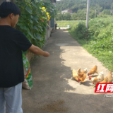 金秋助学丨毕业后想要自己创业 他选择走出去