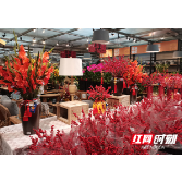 新春走基层丨新春渐浓 花卉成为市民的“宠儿”