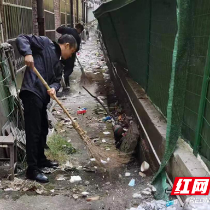 淞南中学党支部开展志愿服务活动
