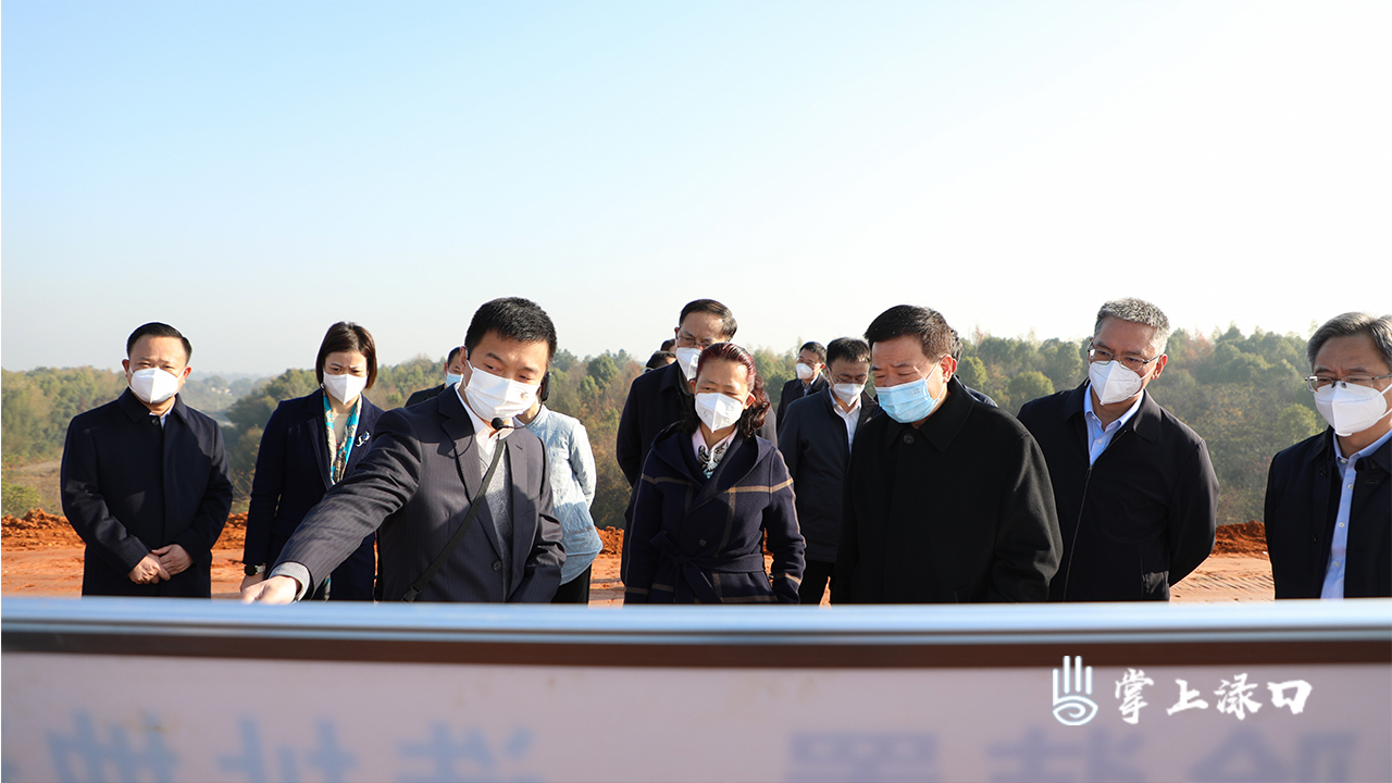 陈飞一行来渌口区调研力能实验装置项目建设情况