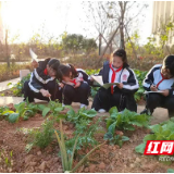 长沙市一中株洲实验学校：劳动教育撑起学生快乐成长的晴空