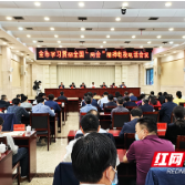 株洲市召开学习贯彻全国两会精神电视电话会议