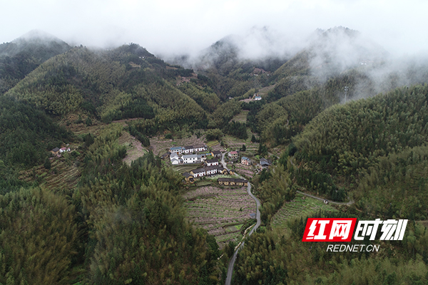 航拍株洲丨炎陵县策源乡梨树洲村：雨后乡村美如画