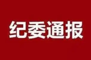 向县区委书记行贿 两家企业及其负责人被通报