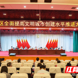 芦淞区召开全面提高文明城市创建水平推进大会