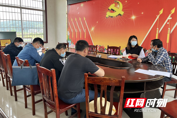 炎陵县霞阳镇开展“党建体检”  持续推动党建工作质量提升