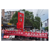 芦淞区谭家塅小学开展垃圾分类宣传活动