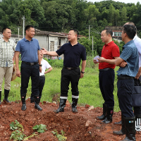 渌口区委书记李晓彤调研督导卫片执法图斑整改工作