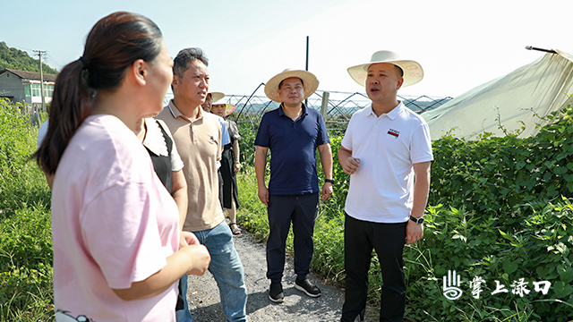 渌口区委书记李晓彤到朱亭镇调研村集体经济发展等工作